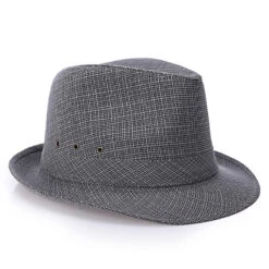 Chapeau Trilby élégant Et Sophistiqué